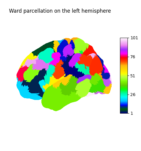 Ward parcellation on the left hemisphere